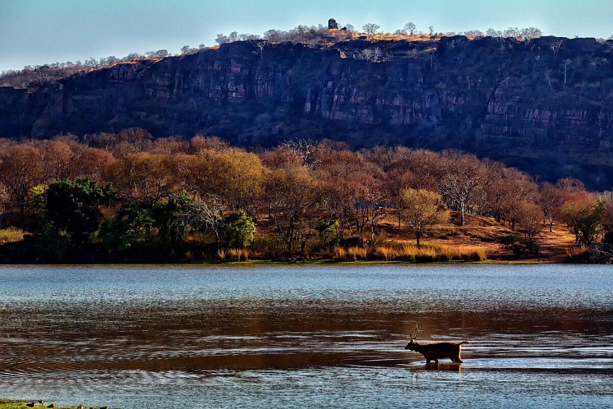 Ranthambore Fort on its cliff above a lake in the national park