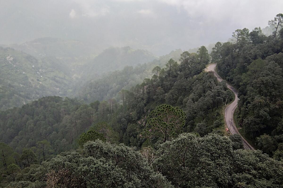 A misty forested valley with a winding road near Lansdowne