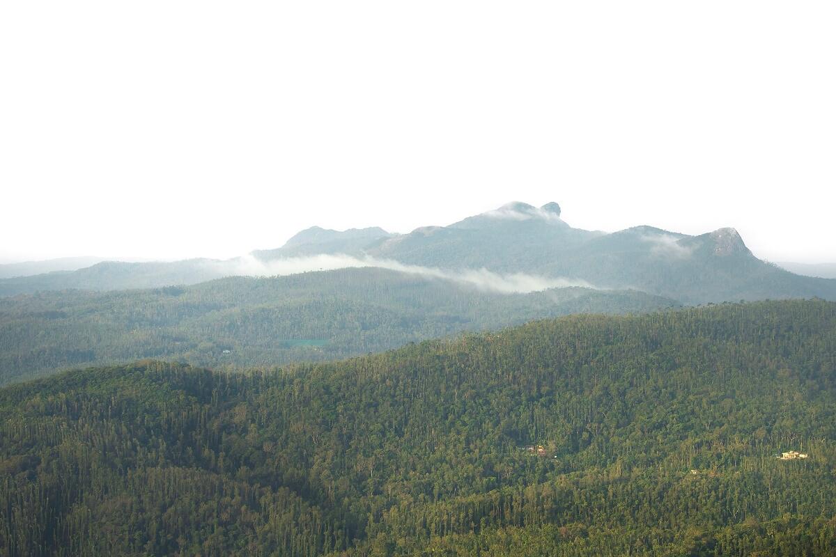 Forested ridges of the Western Ghats in morning mist, seen from Mullayanagiri