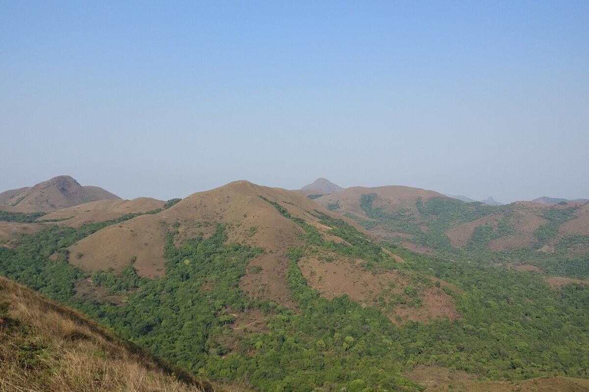 Grassy hills of the Western Ghats around Sakleshpur