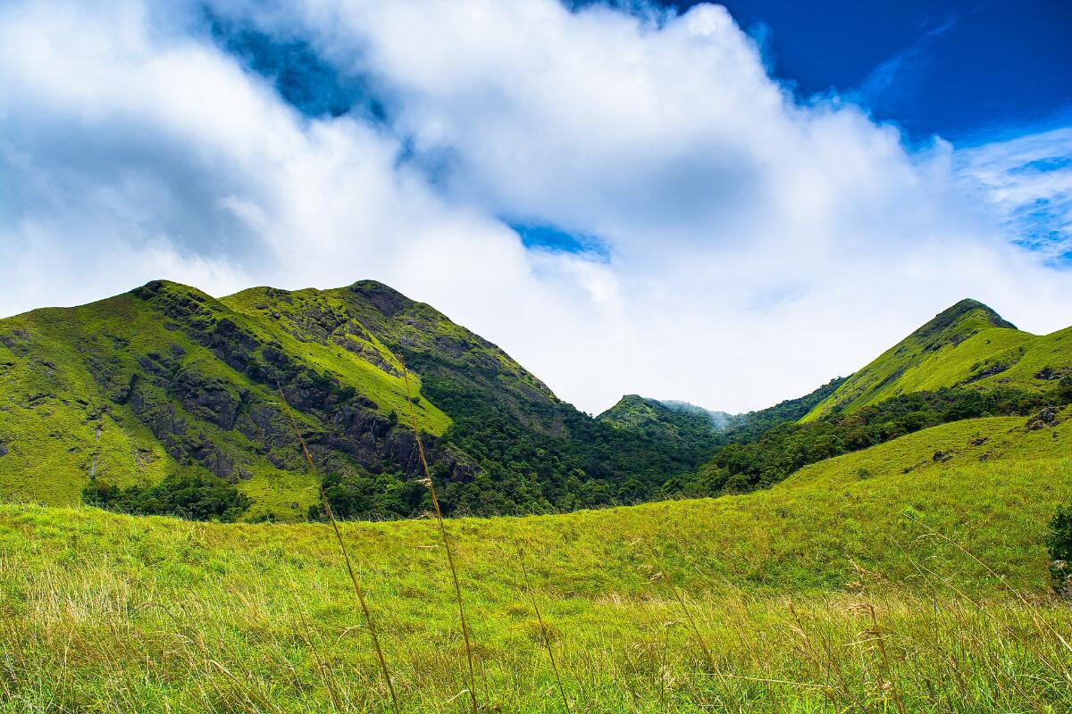 Green grassy hills in Wayanad under a blue sky with white clouds