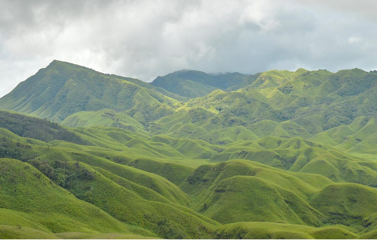 The green rolling hills of Dzukou Valley in Nagaland