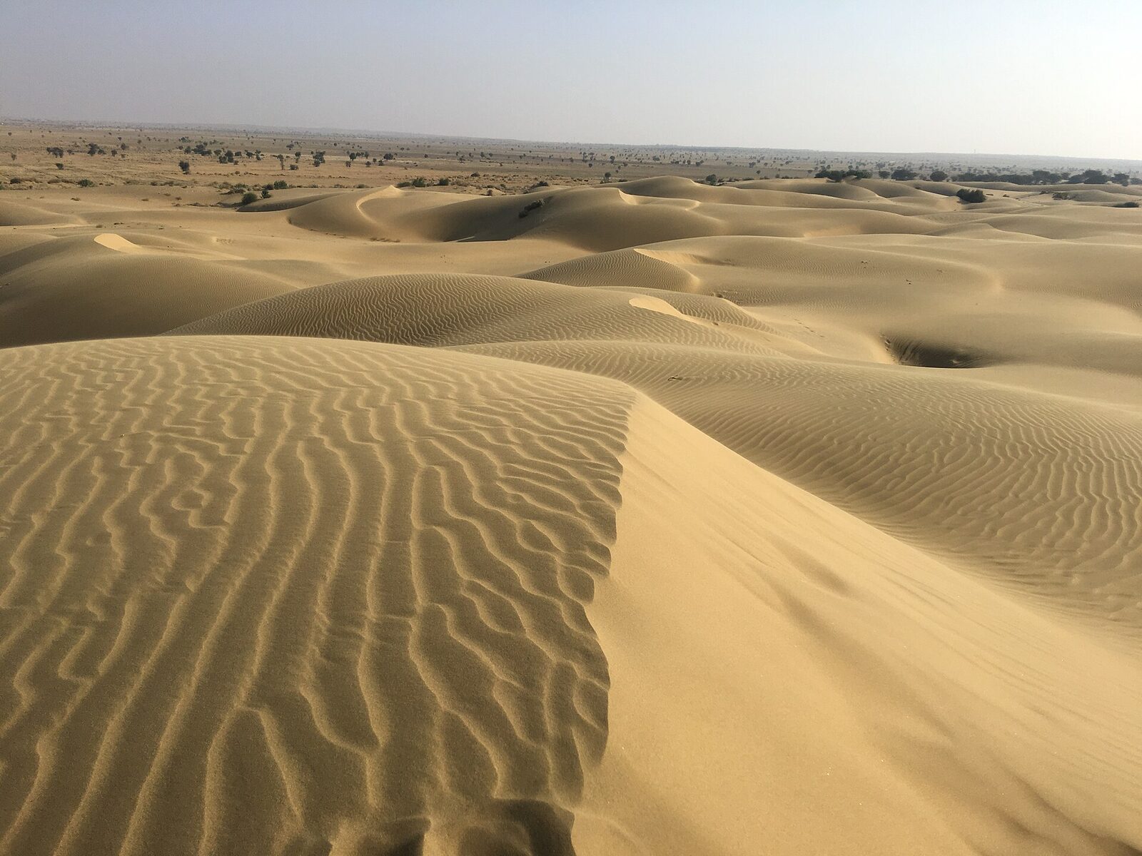 The Sam dunes of Jaisalmer