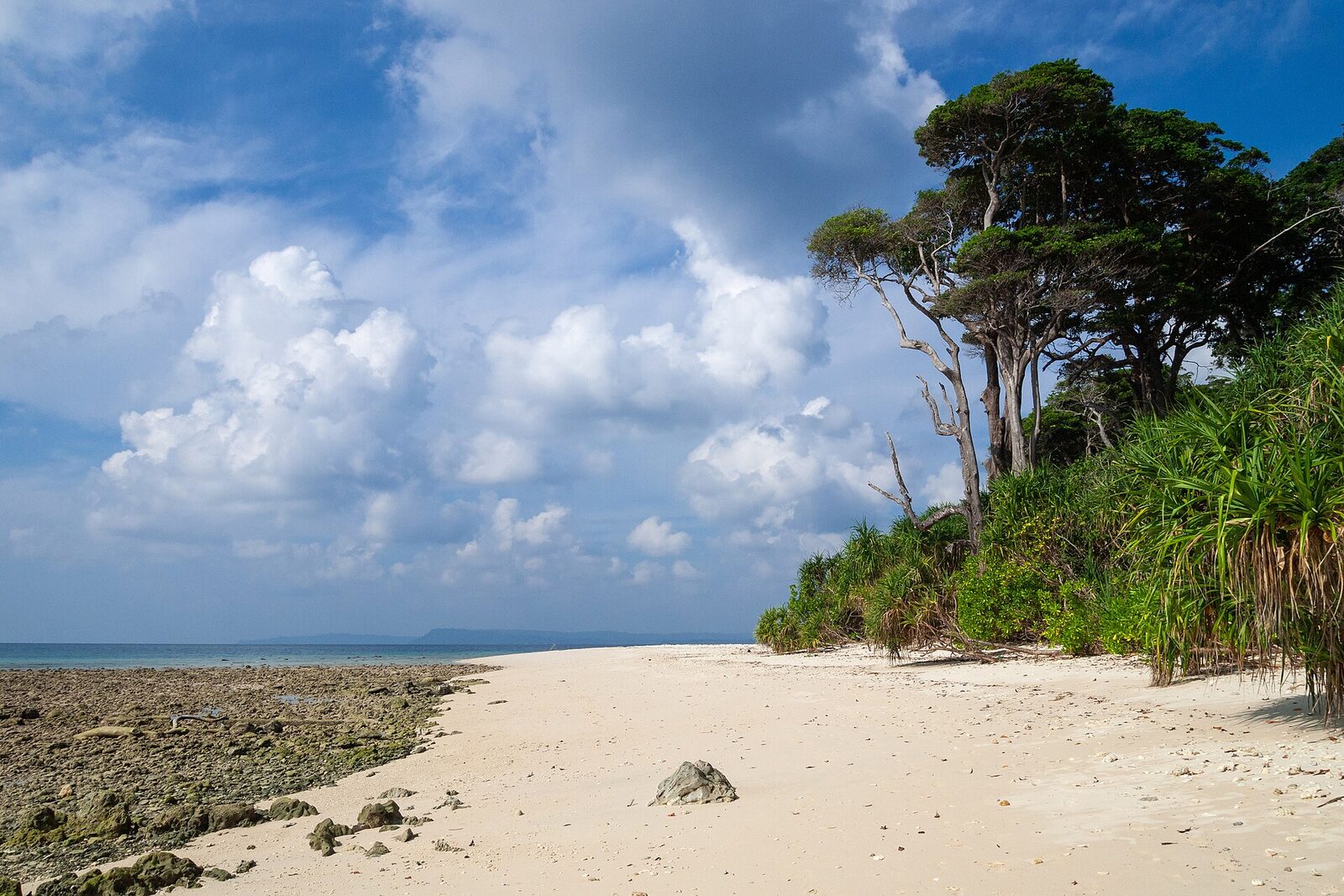 A beach on Neil Island