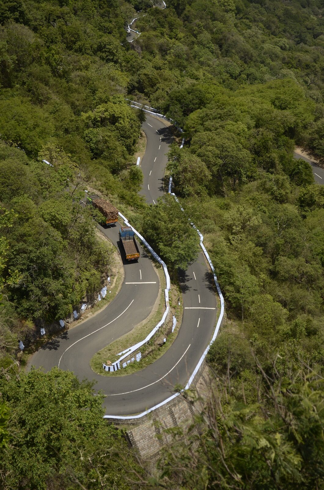 A looping road in the Anaimalai hills